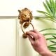 Brass Lion Face Door Knocker